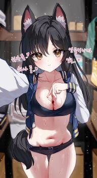 1girl 3: absurdres animal_ear_fluff animal_ears belt black_hair black_shirt black_shorts blue_jacket blurry breasts cat_ears cat_girl cat_tail cleavage closed_mouth collarbone commission cowboy_shot crop_top depth_of_field groin highres jacket korean_text large_breasts long_hair long_sleeves looking_at_viewer micro_shorts midriff navel open_clothes open_jacket original outstretched_arm second-party_source selfie shirt shorts solo standing stomach sweat tail tandohark thigh_gap thighs white_sleeves yellow_eyes