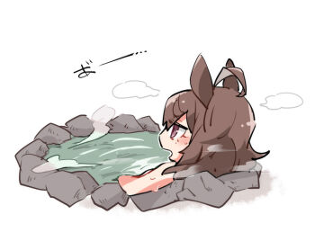 1girl ahoge animal_ears beer_hsk brown_hair commentary_request from_side hair_between_eyes horse_ears long_hair nakayama_festa_(umamusume) nude onsen profile purple_eyes simple_background solo steam sweat umamusume water white_background