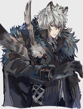 1boy absurdres animal animal_ear_fluff animal_ears animal_on_arm animal_on_shoulder arknights bird bird_on_arm black_cape black_coat black_gloves black_jacket cape cat_boy closed_mouth coat cropped_torso fur_trim gloves grey_background grey_eyes hair_between_eyes highres infection_monitor_(arknights) jacket leopard_ears long_sleeves looking_at_viewer male_focus shirt short_hair silverash_(arknights) simple_background solo tenzin_(arknights) toramaru_(696anna) upper_body white_hair