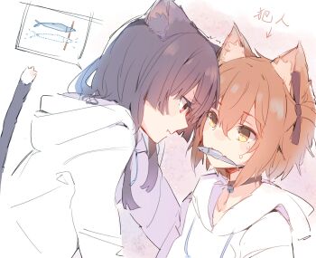 Rule 34 | 2girls, animal ear fluff, animal ears, bell, black choker, black hair, brown hair, cat ears, cat girl, cat tail, choker, commentary request, etou kanami, face-to-face, fish, highres, hood, hood down, hoodie, juujou hiyori, lionet0806, long hair, long sleeves, looking at another, mouth hold, multiple girls, neck bell, one side up, red eyes, short hair, sweat, tail, toji no miko, translation request, white hoodie