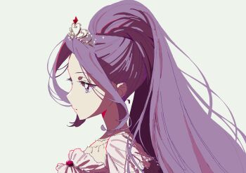 Rule 34 | 1girl, absurdres, aikatsu!, aikatsu! (series), commentary request, from side, grey background, high ponytail, highres, kanzaki mizuki, long hair, ponytail, profile, purple eyes, purple hair, simple background, solo, tiara, upper body, yamaguchi haruka (tenpiboshi)