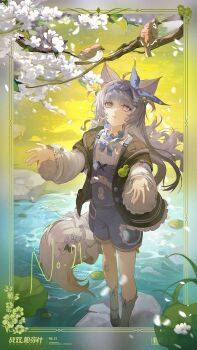 Rule 34 | 1girl, ahoge, animal charm, animal ears, animal print, bandaid, bandaid on knee, bandaid on leg, bird, black jacket, black shoes, blue bow, blue collar, blue hairband, blue overalls, border, bow, branch, buttons, center frills, charm (object), chinese commentary, collar, commentary request, copyright name, falling petals, floral border, flower, frilled collar, frilled jacket, frilled sleeves, frills, full body, grey hair, grey socks, hair ornament, hairband, highres, jacket, leaf, lily pad, long hair, long sleeves, looking up, mismatched pupils, no. 21: feral (tiny bad wolf) (pgr), no. 21 (pgr), official alternate costume, official art, on rock, open clothes, open hands, open jacket, ornate border, outdoors, overall shorts, overalls, parted lips, petals, punishing: gray raven, purple eyes, rabbit charm, rabbit print, rock, shirt, shoes, short-sleeved jacket, short sleeves, socks, solo, standing, star-shaped pupils, star (symbol), symbol-shaped pupils, tail, two side up, water, white flower, white petals, white shirt, wolf ears, wolf girl, wolf tail, x hair ornament