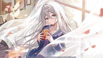 Rule 34 | 1girl, backlighting, blue eyes, blue jacket, blurry, blurry foreground, blush, bookshelf, bow, box, closed mouth, collarbone, commentary, copyright notice, curtains, dot nose, english commentary, falling petals, floating curtains, flower, gift, gift box, gift wrapping, guest art, hair between eyes, hands up, harukix, highres, holding, holding box, indoors, jacket, long bangs, long hair, long sidelocks, long sleeves, looking at viewer, official art, open clothes, open jacket, petals, phonograph, picture frame, project sekai, purple shirt, record jacket, red flower, red petals, red rose, ribbon, rose, second-party source, shirt, sidelocks, smile, solo, track jacket, tree, unzipped, upper body, valentine, vase, very long hair, white flower, white hair, white rose, window, yellow bow, yellow ribbon, yoisaki kanade