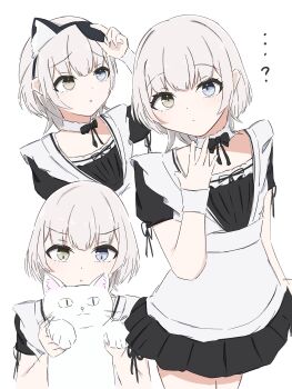 1girl ? animal animal_ear_hairband animal_ears apron bang_dream! bang_dream!_it&#039;s_mygo!!!!! black_dress blue_eyes blush cat closed_mouth commentary dress fake_animal_ears hairband heterochromia highres holding holding_animal holding_cat kaname_raana maid melty_lubll multiple_views open_mouth raana_the_cat short_hair simple_background white_apron white_background white_hair yellow_eyes