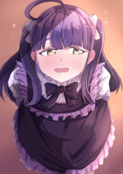 Rule 34 | 1girl, ahoge, averting eyes, blush, bow, bowtie, brown eyes, chofu noriko, commentary request, dhuno g, dress, embarrassed, facing viewer, frilled dress, frilled shirt, frills, hair bow, highres, holding, holding behind back, ikizulive! love live! bluebird, long dress, looking to the side, love live!, nose blush, open mouth, peanut mouth, purple bow, purple bowtie, purple dress, purple hair, shirt, solo, squeans, thick eyebrows, two side up, valentine, white bow, white shirt