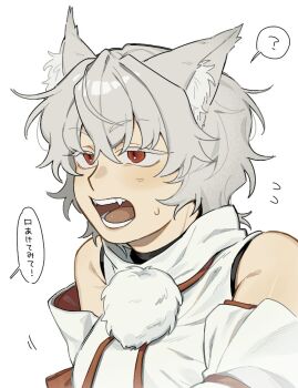 Rule 34 | 1girl, ?, animal ear fluff, animal ears, commentary request, detached sleeves, fangs, grey hair, inubashiri momiji, missing headwear, open mouth, red eyes, sakic43899, simple background, solo, speech bubble, spoken question mark, touhou, translation request, white background, wolf ears, wolf girl