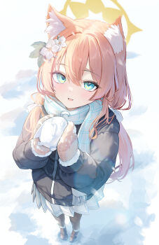 1girl absurdres alternate_costume animal_ear_fluff animal_ears black_coat blue_archive blue_eyes brown_gloves brown_pantyhose brown_shoes chiu538 coat commentary_request flower gloves hair_between_eyes hair_flower hair_ornament halo highres long_hair looking_at_viewer mari_(blue_archive) mittens orange_hair pantyhose plaid_clothes plaid_scarf scarf shoes skirt snow solo standing white_flower white_scarf white_skirt yellow_halo