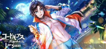 beach code_geass code_geass:_lost_stories highres mario_disel night palm_tree sky tree