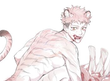 Rule 34 | 1boy, animal ears, blood, blood on face, blood on mouth, commentary request, dead animal, fangs, itadori yuuji, jujutsu kaisen, kan (forest kan), male focus, nude, pink hair, simple background, solo, tail, teeth, tiger boy, tiger ears, tiger tail, tongue, tongue out, undercut, upper body, white background