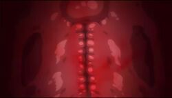 1boy 1girl animal_hood animated brown_eyes brown_hair censored cross-section green_hoodie hetero highres hood hood_up hoodie katou_mio_(seika_jogakuin_kounin_sao_ojisan) night outdoors park penis pussy seika_jogakuin_kounin_sao_ojisan sex sound tagme vaginal video