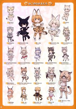 6+girls absurdres asian_golden_cat_(kemono_friends) black_serval_(kemono_friends) bobcat_(kemono_friends) canadian_lynx_(kemono_friends) caracal_(kemono_friends) cat_(kemono_friends) cheetah_(kemono_friends) cougar_(kemono_friends) eurasian_lynx_(kemono_friends) full_body geoffroy's_cat_(kemono_friends) highres iberian_lynx_(kemono_friends) iriomote_cat_(kemono_friends) japari_symbol jungle_cat_(kemono_friends) kemono_friends king_cheetah_(kemono_friends) looking_at_viewer multiple_girls official_art pallas's_cat_(kemono_friends) puma_(kemono_friends) rusty-spotted_cat_(kemono_friends) sand_cat_(kemono_friends) serval_(kemono_friends) simple_background tachi-e tsushima_leopard_cat_(kemono_friends) white_serval_(kemono_friends) yoshizaki_mine