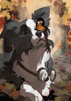 absurdres animal_focus autumn_leaves border_collie bug butterfly butterfly_on_nose dog goggles goggles_around_neck highres insect leaf looking_at_animal no_humans orange_butterfly pickles_(reverse:1999) raysse reverse:1999