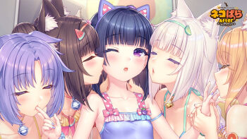 6+girls alternate_hairstyle animal_ear_fluff animal_ear_hairband animal_ears arm_strap azuki_(nekopara) bell bikini black_hair blonde_hair blue_nails bow braid brown_hair cat_ears cat_girl chocola_(nekopara) cinnamon_(nekopara) closed_eyes coconut_(nekopara) collarbone double_bun fake_animal_ears finger_in_another&#039;s_mouth finger_sucking food-themed_hair_ornament frilled_one-piece_swimsuit frills fruit_hair_ornament game_cg hair_bun hair_ornament hairband harem headband heart heart_print holding_hands imminent_kiss interspecies lime_hair_ornament maple_(nekopara) minazuki_shigure multiple_girls nail_polish neck_bell nekopara official_art one-piece_swimsuit one_eye_closed orange_hair orange_nails pink_bow pink_nails print_bow purple_eyes purple_hair purple_one-piece_swimsuit sayori_(neko_works) siblings sisters sucking_finger swimsuit twin_braids twins vanilla_(nekopara) watermark watermelon_hair_ornament white_hair yuri