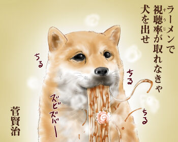 animal animal_focus black_eyes brown_background dog eating food haiku no_humans noodles original poem portrait ramen shiba_inu steam text_focus translation_request ujiga_waita