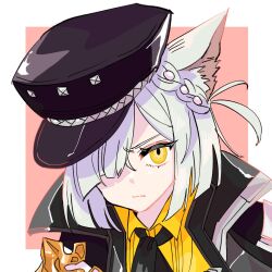 Rule 34 | 1girl, animal ears, arknights, black hat, black jacket, black necktie, border, braid, cat ears, cat girl, chomo o12, closed mouth, collared shirt, delphine (arknights), frown, hair over one eye, hat, highres, jacket, looking at viewer, medium hair, necktie, one eye covered, one side up, open clothes, open jacket, outside border, peaked cap, pink background, portrait, shirt, sidelocks, simple background, solo, v-shaped eyebrows, white border, yellow eyes, yellow shirt