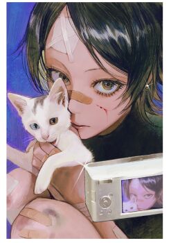 Rule 34 | 1girl, absurdres, animal, bandaid, bandaid on face, bandaid on hand, bandaid on head, bandaid on knee, bandaid on leg, black eyes, black hair, bleeding, blood, blood on face, blue background, border, bruise, camera, cat, chinese commentary, closed mouth, commentary request, earrings, expressionless, eyelashes, gauze, gauze on forehead, highres, holding, holding animal, holding cat, injury, jewelry, light particles, looking at viewer, original, portrait, scratches, seapall, simple background, solo, white border, white cat