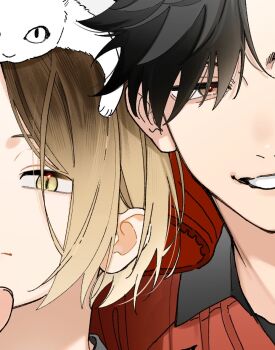 Rule 34 | 2boys, animal, animal on head, black hair, blonde hair, brown eyes, brown hair, cat, cat on head, close-up, gradient hair, grin, haikyuu!!, kozume kenma, kuroo tetsurou, looking to the side, male focus, mkyn29, multicolored hair, multiple boys, on head, red shirt, shirt, sideways glance, slit pupils, smile, white cat, yellow eyes