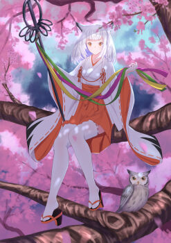 1girl absurdres arknights bird cherry_blossoms commentary_request flower highres hime_cut in_tree japanese_clothes lan_qiandai miko owl ptilopsis_(arknights) red_eyes ribbon-trimmed_thighhighs ribbon_trim sitting sitting_in_tree smile thighhighs tree white_hair white_thighhighs wide_sleeves