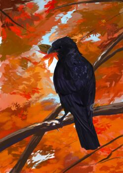absurdres animal animal_focus autumn autumn_leaves bird branch crow day from_behind full_body highres leaf looking_back mouth_hold no_humans on_branch original outdoors perching solo tukimi_088