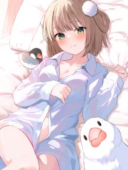1girl absurdres animal bed_sheet bird blush breasts brown_hair cleavage closed_mouth collared_shirt commentary_request dress_shirt feet_out_of_frame green_eyes hair_rings hand_up highres indie_virtual_youtuber java_sparrow long_sleeves looking_at_viewer medium_breasts memekko navel pillow shigure_ui_(vtuber) shirt sleeves_past_wrists smile solo virtual_youtuber white_shirt