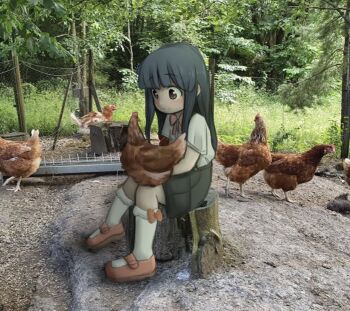 1girl animal bird black_hair black_shorts blunt_bangs bow bowtie brown_eyes chicken child closed_mouth commentary english_commentary fence forest furude_rika grass higurashi_no_naku_koro_ni holding holding_animal light_blush light_smile long_hair mary_janes nature orange_bow orange_shoes outdoors photo_(medium) photo_background shirt shoes short_sleeves shorts sidelocks sitting on_tree_stump socks solo tree_stump white_shirt white_socks zoolpal