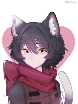 Rule 34 | 1girl, animal ear fluff, animal ears, artist name, black hair, cat ears, cat girl, cat tail, dungeon meshi, hair between eyes, highres, izutsumi, kimchunsik, red scarf, scarf, short hair, simple background, slit pupils, solo, tail, twitter username, upper body, white background, yellow eyes