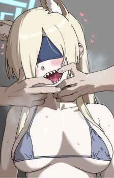 1boy 1girl animal_ears bikini blindfold blonde_hair blue_archive blue_bikini blue_halo blush breasts breasts_apart commentary_request covered_eyes dog_ears drooling finger_in_another's_mouth grey_background halo heart highres kanna_(blue_archive) long_hair medium_breasts micro_bikini open_mouth osame parted_bangs saliva sharp_teeth steaming_body sweat swimsuit teeth upper_body