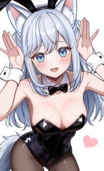 1girl animal_ears armpits bare_shoulders black_hairband black_leotard blue_eyes blue_nails bow bowtie breasts brown_pantyhose cleavage commentary cowboy_shot daysss detached_collar dog_ears dog_girl dog_tail fake_animal_ears hairband hands_up heart highres indie_virtual_youtuber leotard long_hair looking_at_viewer medium_breasts nail_polish open_mouth pantyhose playboy_bunny rabbit_ears rabbit_pose shimoinu_reina smile solo strapless strapless_leotard symbol-only_commentary tail two_side_up virtual_youtuber white_hair wrist_cuffs