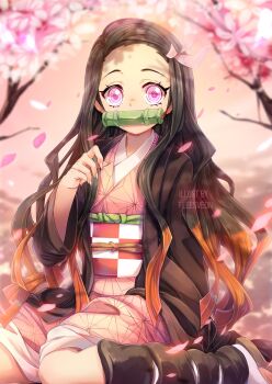 Rule 34 | 1girl, artist name, bit gag, black hair, black haori, cherry blossoms, colored tips, commentary, english commentary, falling petals, fleesveon, flower, gag, hair ribbon, haori, highres, japanese clothes, kamado nezuko, kimetsu no yaiba, kimono, kneeling, long hair, looking at viewer, multicolored hair, petals, pink eyes, pink flower, pink kimono, pink petals, pink ribbon, print kimono, red hair, ribbon, sandals, socks, solo, two-tone hair, white socks