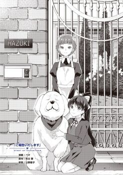 2girls animal apron artist_name blunt_bangs bow braid brick brick_wall chibi_(love_live!_superstar!!) closed_mouth collared_shirt dog door dress dress_shirt entrance fence full_body grass greyscale hair_bow hand_up hands_on_own_thighs hazuki_ren high_ponytail holding holding_animal holding_dog jacket loafers long_hair long_sleeves looking_at_viewer love_live! love_live!_superstar!! maid maid_apron mole mole_under_eye monochrome multiple_girls neck_ribbon open_clothes open_jacket outdoors peke_(xoxo_melon) ponytail ribbon saya_(love_live!) scarf school_uniform shirt shoes short_bangs short_dress short_hair smile socks squatting straight-on updo window winter_uniform yuigaoka_school_uniform