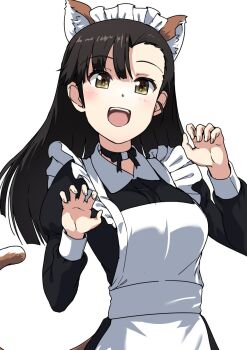 1girl alternate_costume animal_ears apron black_choker blush breasts buchikaki cat_ears cat_girl cat_tail choker enmaided girls_und_panzer highres large_breasts looking_at_viewer maid maid_apron maid_headdress nishi_kinuyo open_mouth paw_pose simple_background smile solo tail white_background yellow_eyes