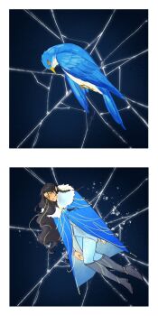 Rule 34 | 1boy, animal, beak, bird, black hair, blue bird, blue eyes, boots, braid, cloak, elf, fingon, full body, fur trim, highres, issa crimson, long hair, looking at viewer, male focus, panels, parted bangs, pointy ears, solo, the silmarillion, tolkien's legendarium, wings