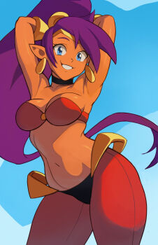 Rule 34 | 1girl, armpits, blue eyes, bra, breasts, dark-skinned female, dark skin, earrings, highres, jewelry, long hair, looking at viewer, medium breasts, milkmountain, pointy ears, purple hair, see-through clothes, shantae, shantae (series), teeth, underwear, very long hair