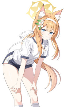 1girl absurdres animal_ear_fluff animal_ears black_shorts blonde_hair blue_archive cat_ears commentary_request feet_out_of_frame flower gym_shirt gym_shorts gym_uniform hair_flower hair_ornament hairband halo hands_on_own_thighs highres leaning_forward long_hair low_ponytail mari_(blue_archive) mari_(track)_(blue_archive) ponytail puffy_short_sleeves puffy_sleeves shirt short_shorts short_sleeves shorts simple_background sob_(submar1089) socks solo very_long_hair white_background white_flower white_hairband white_shirt white_socks
