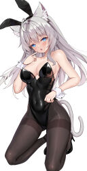Rule 34 | 1girl, animal ears, bare shoulders, black leotard, black pantyhose, blue eyes, blush, breasts, cat ears, cat tail, cleavage, commission, covered navel, fake animal ears, full body, grey hair, highleg, highleg leotard, highres, large breasts, leotard, long hair, matrix16, original, pantyhose, pixiv commission, playboy bunny, rabbit ears, slit pupils, solo, strapless, strapless leotard, tail, thighs, wrist cuffs