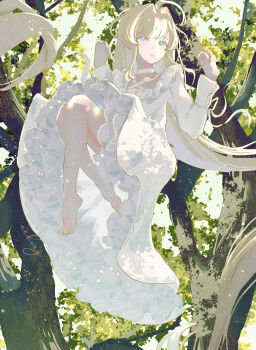 1girl absurdres ahoge barefoot blonde_hair blue_eyes choker clenched_hand commentary_request criss-cross_halter crossed_legs dappled_sunlight day dress floating_hair forest frilled_dress frills full_body grass hair_intakes halterneck hands_up highres huge_ahoge light_particles long_hair long_sleeves looking_at_viewer nature nekory on_tree original outdoors parted_lips scenery sidelocks signature solo sunlight tree tree_shade very_long_hair white_choker white_dress