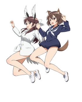 2girls animal_ears bird_ears bird_girl bird_tail blue_one-piece_swimsuit brave_witches commentary_request highres jacket jumping kaneko_(novram58) karibuchi_hikari karibuchi_takami military military_uniform multiple_girls no_panties no_pants one-piece_swimsuit sailor_collar school_uniform shoes siblings simple_background sisters squirrel_ears squirrel_girl squirrel_tail swimsuit swimsuit_under_clothes tail white_background white_jacket white_sailor_collar white_shoes world_witches_series