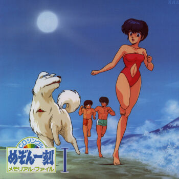1girl 2boys album_cover alternate_costume angry bare_arms bare_legs bare_shoulders beach blue_eyes blue_hair braid breasts brown_hair cleavage clothing_cutout collarbone confrontation cover crown_braid day dog eye_contact godai_yuusaku looking_at_another maison_ikkoku medium_breasts mitaka_shun moriyama_yuji multiple_boys navel navel_cutout neck one-piece_swimsuit open_mouth otonashi_kyouko outdoors red_one-piece_swimsuit running sand short_hair smile strapless strapless_one-piece_swimsuit summer sun swimsuit water waves