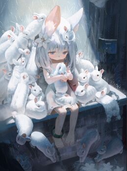 1girl animal animal_ear_fluff animal_ears barefoot chain commentary doubutsunoujyou dress flower hair_flower hair_ornament highres holding holding_animal holding_rabbit original rabbit rabbit_ears rabbit_girl rain sitting white_dress