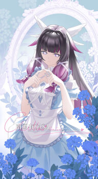 Rule 34 | 1girl, absurdres, alternate costume, apron, artist name, black hair, blue dress, blue flower, chenmzi sasa, closed mouth, columbina (genshin impact), commentary request, dress, flower, genshin impact, hair ornament, hands up, highres, long hair, long sidelocks, looking at viewer, multicolored hair, purple eyes, purple hair, sidelocks, signature, solo, unusually open eyes, very long hair, white apron, white flower, wing hair ornament