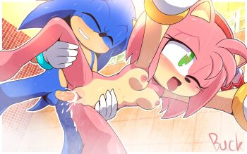 1girl amy_rose buckhori159 green_eyes nipples nude penis pussy sex sonic_(series) sonic_the_hedgehog