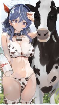 1girl absurdres ako_(blue_archive) animal animal_collar animal_print bell bikini blue_archive blue_eyes blue_hair blue_halo bottle breasts cleavage collar commentary cow cow_print cow_print_bikini cow_print_thighhighs cowbell earrings grass hair_between_eyes hairband halo highres holding holding_bottle jewelry large_breasts long_hair looking_at_viewer milk_bottle navel outdoors pjkka print_bikini print_thighhighs side-tie_bikini_bottom solo stud_earrings sweatdrop swimsuit thighhighs wiping_sweat