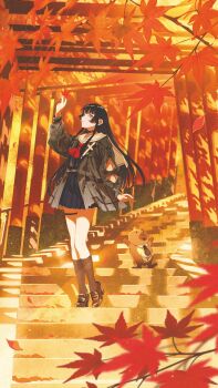 1girl 1other arm_cutout autumn black_choker black_hair black_shirt black_skirt capybara chisa_(wuthering_waves) choker clothing_cutout commentary_request full_body gemi hair_ribbon highres holding holding_leaf leaf long_hair long_sleeves maple_leaf multiple_torii namipon_(wuthering_waves) neckerchief official_art orange_theme red_eyes red_neckerchief red_ribbon ribbon sailor_collar school_uniform serafuku shirt shoes skirt solo stairs thigh_strap torii white_sailor_collar wuthering_waves