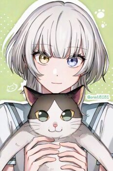 Rule 34 | 1girl, bak pep, bang dream!, bang dream! it's mygo!!!!!, blue eyes, blue sailor collar, blush, closed mouth, commentary request, green background, hanasakigawa school uniform, heterochromia, jellyfish cut, kaname raana, korean commentary, looking at viewer, medium hair, raana the cat, sailor collar, school uniform, serafuku, shirt, solo, white hair, white shirt, yellow eyes