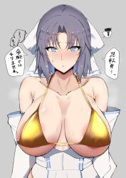 Rule 34 | 1girl, breasts, large breasts, senran kagura, solo, translation request, yumi (senran kagura)