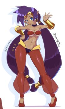 1girl bananagaari blue_eyes bra bracelet breasts dark-skinned_female dark_skin earrings gluteal_fold jewelry large_breasts long_hair pants pointy_ears purple_hair see-through_clothes see-through_pants shantae shantae_(series) shoes twintails underwear very_long_hair