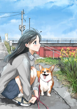 Rule 34 | 1girl, animal, black hair, blue eyes, collared shirt, commentary request, day, dog, from side, full body, highres, holding, holding leash, leash, long hair, long sleeves, looking up, original, outdoors, power lines, profile, rapeseed blossoms, shirt, shoes, shorts, sky, smile, sneakers, socks, solo, soragane (banisinngurei), squatting, striped clothes, striped shorts, utility pole, welsh corgi