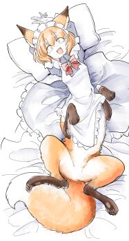 1girl absurdres animal_ears apron arms_up bed_sheet blonde_hair bow bowtie breasts centauroid commentary_request dakimakura_(medium) dress fang fox_ears fox_girl fox_tail frilled_apron frills full_body gloves gosu_mei_(sakifox) grey_dress hair_between_eyes highres incredibly_absurdres long_sleeves looking_at_viewer lying maid maid_apron maid_headdress making-of_available medium_hair monster_girl monsterification on_back open_mouth orange_eyes orange_hair original pillow sakifox sanpaku short_eyebrows sidelocks small_breasts solo tail taur white_apron white_gloves
