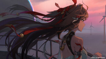 1girl animal_ears brown_hair copyright_notice dusk facing_away floating_hair gradient_sky hair_ornament hair_ribbon highres long_hair official_art red_eyes ribbon simple_bird sky solo ye_shunguang zenless_zone_zero