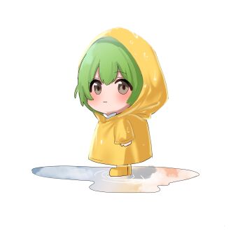1girl absurdres brown_eyes chibi grey_hair highres hood nankawa_rota puddle raincoat smile solo voicevox white_background zundamon